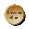 russian blue